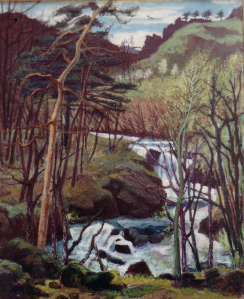 Henri Jannot - Cascade en Auvergne (La couze Pavin) 1957